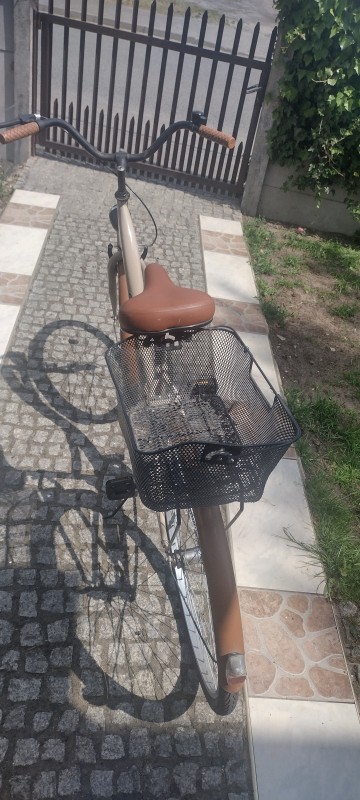 Rower damski