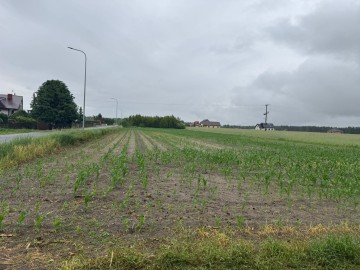 Działki budowlane na sprzedaż – Główiew, gm. Stare Miasto