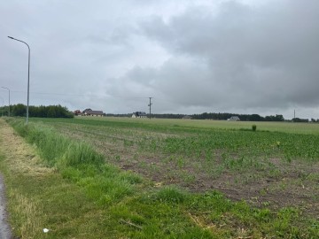 Działki budowlane na sprzedaż – Główiew, gm. Stare Miasto