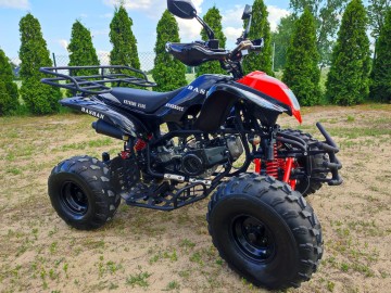 Quad 250CC Bashan,stan idealny 290km przebieg