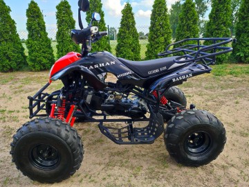 Quad 250CC Bashan,stan idealny 290km przebieg