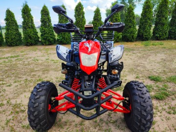 Quad 250CC Bashan,stan idealny 290km przebieg