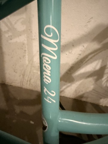 Sprzedam rower Indian Meona 24