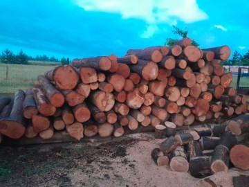 Sprzedam drewno kominkowe