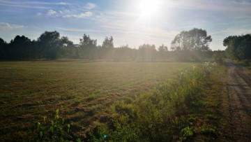 Ostatnie działki budowlane pod lasem! Biała Panieńska | 10a