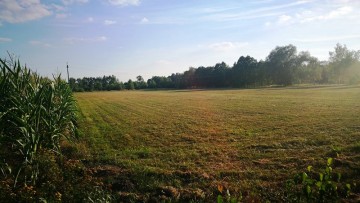 Ostatnie działki budowlane pod lasem! Biała Panieńska | 10a