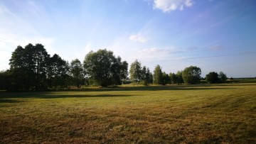 Ostatnie działki budowlane pod lasem! Biała Panieńska | 10a