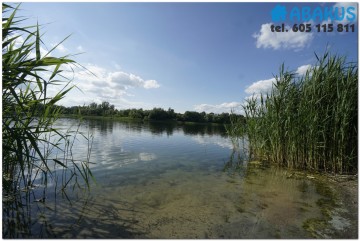 Na sprzedaż domek letniskowy nad Jez. Wilczyńskim Zygmuntowo