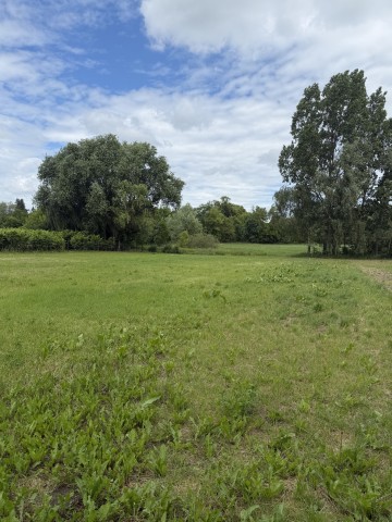 Wrząca Wielka Dom 160 m2 z działka 2900m2