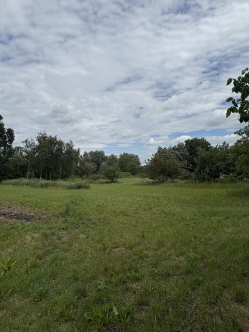 Wrząca Wielka Dom 160 m2 z działka 2900m2