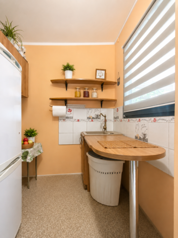 Działka ROD 300 m² ZYCHLIN – 2 domki, prąd i woda