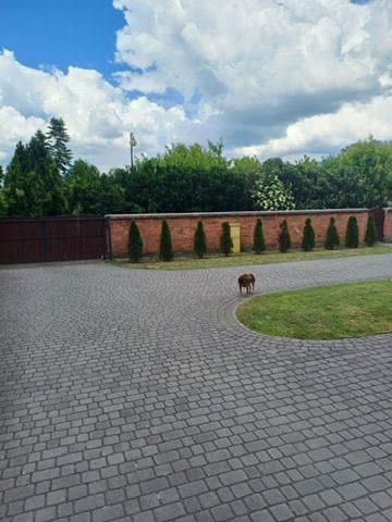 Na sprzedaż rezydencja Kleczew