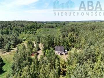 Janowice gm. Sompolno - Urokliwe siedlisko 7,31 ha