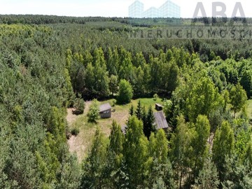 Janowice gm. Sompolno - Urokliwe siedlisko 7,31 ha