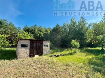 Janowice gm. Sompolno - Urokliwe siedlisko 7,31 ha