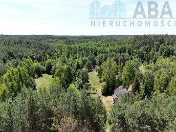 Janowice gm. Sompolno - Urokliwe siedlisko 7,31 ha