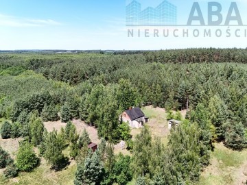 Janowice gm. Sompolno - Urokliwe siedlisko 7,31 ha