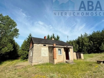 Janowice gm. Sompolno - Urokliwe siedlisko 7,31 ha