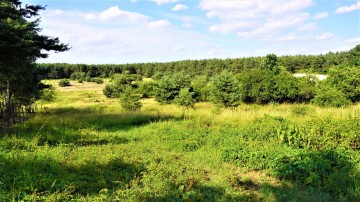 Działka budowlana o pow. 1200m2, w otulinie lasu -Posoka