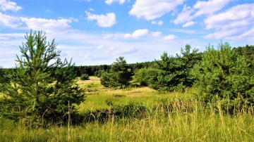 Działka budowlana o pow. 1200m2, w otulinie lasu -Posoka