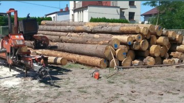 Tartak Spalinowy Objazdowy Mobilny