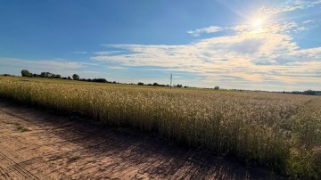 DZIAŁKA PIOTROWICE 79 ARÓW MPZP