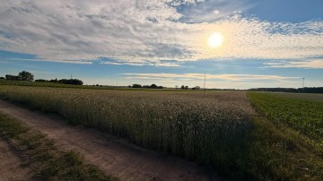 DZIAŁKA PIOTROWICE 79 ARÓW MPZP