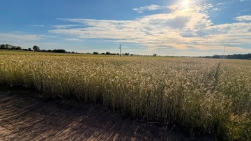 DZIAŁKA PIOTROWICE 54 ARY MPZP