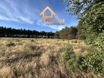 Kompleks działek budowlanych 1,45ha las, jezioro