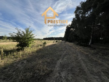 Kompleks działek budowlanych 1,45ha las, jezioro