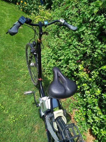 Rower elektryczny RALEIGH