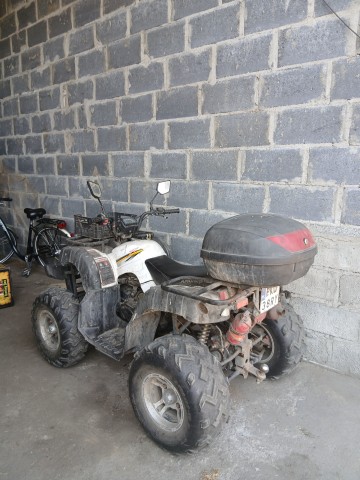 Bashan 200