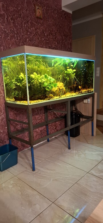 Akwarium 450l