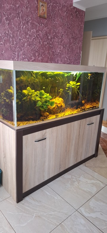 Akwarium 450l