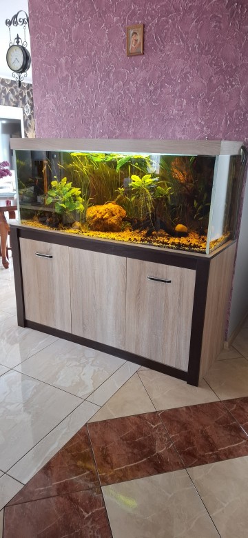 Akwarium 450l
