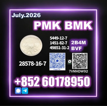 New PM.K CAS 28578-16-7 B.MK Quality Assurance