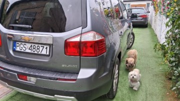 Chevrolet Orlando