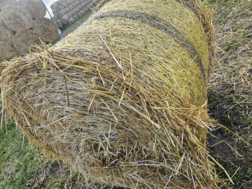 Słoma