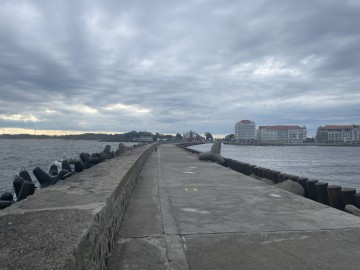 Szukam BBW kobiety