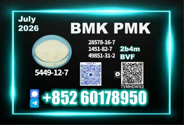 New B.MK CAS 5449-12-7 PM.K Reliable Choice