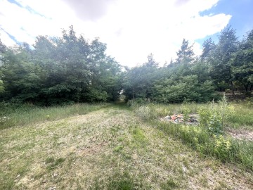 NOWA WIEŚ|Dom, budynki gospodarcze, wydane WZ i prywatny las