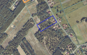 NOWA WIEŚ|Dom, budynki gospodarcze, wydane WZ i prywatny las