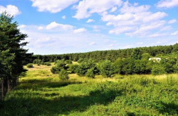 Działka budowlana o pow. 1200m2, w otulinie lasu-Posoka, gm. ...