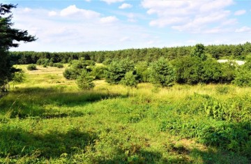 Działka budowlana o pow. 1200m2, w otulinie lasu-Posoka, gm. ...