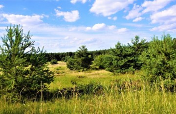 Działka budowlana o pow. 1200m2, w otulinie lasu-Posoka, gm. ...
