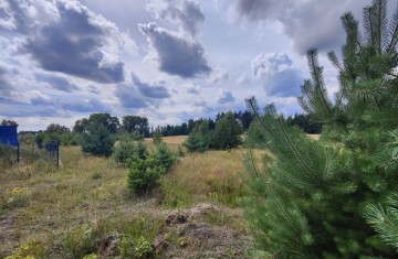 Na sprzedaż działka bezpośrednio nad Jeziorem Suszewskim