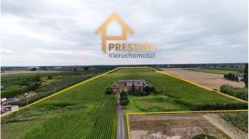Na sprzedaż gospodarstwo rolne 12,67ha gm.Sompolno