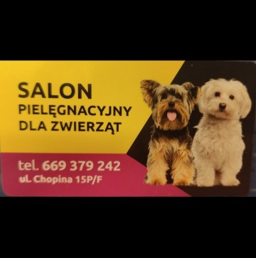Salon pielęgnacyjny dla zwierząt Chopina 15P/F Konin