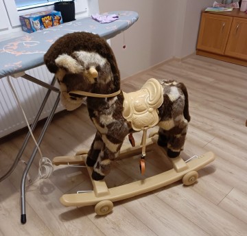 Koń na biegunach